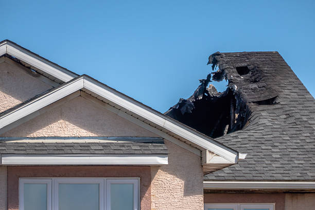Top rated local Fire Damage Removal specialists in Windsor, VA